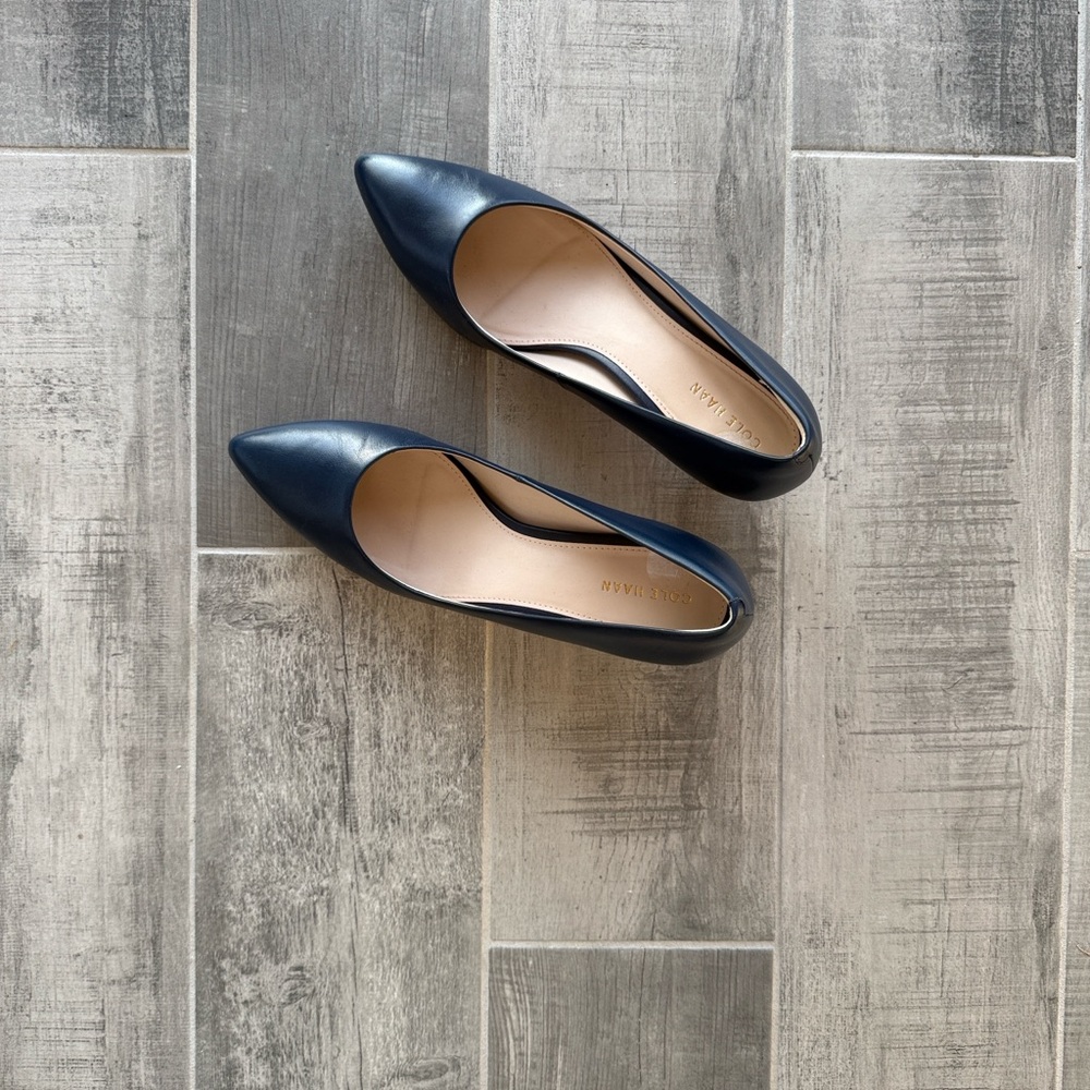 Cole Haan Classic Navy Pointed Toe Pumps